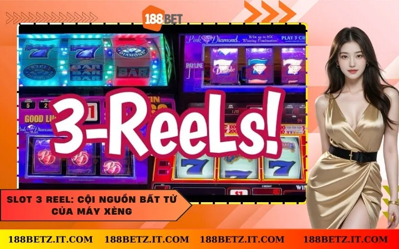 Slot 3 Reel: Cội nguồn bất tử của máy xèng