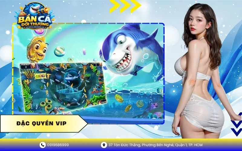 Đặc quyền VIP